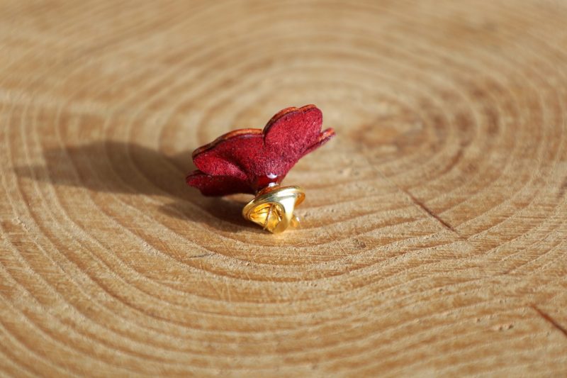 pins fleur rouge, cuir végétal, l'âge du cuir, maroquinerie artisanale, dordogne, france